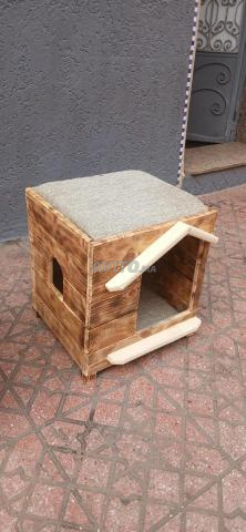 Niche pour chat - 2