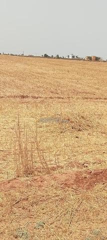 Excellente terre agricole - 2