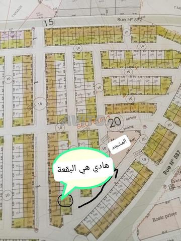 سبت كزولا هناء 3