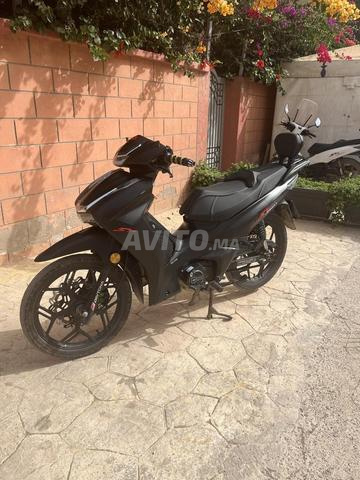 Daytona SH Sport 2024 - 2