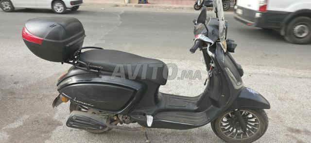 Leonardo enzo noir à vendre
