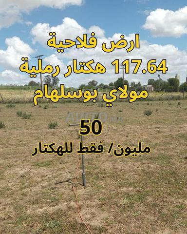أرض فلاحية رملية بمساحة 117.64 هكتار في مولاي بوسلهام بـ 50 مليون