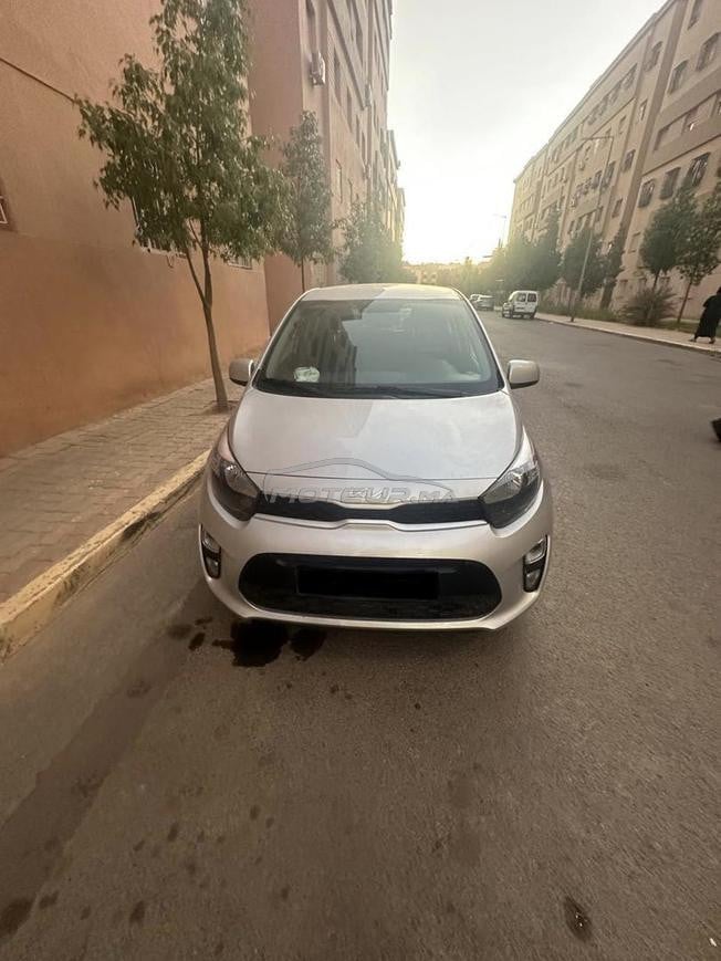 Kia picanto