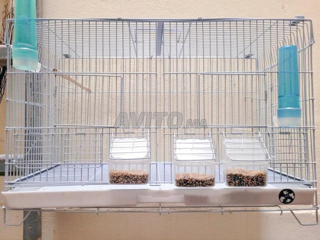cage de séparation