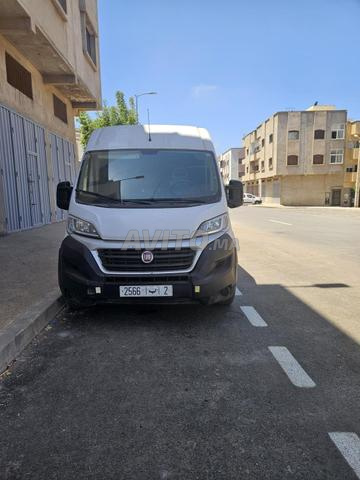 فيات دوكاتو ديزل يدوية 2021 في سلا