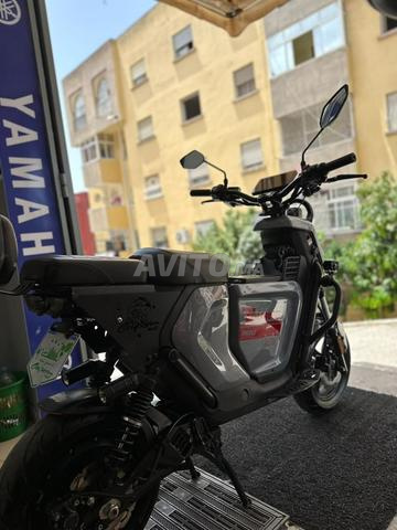 دراجة Cooper Touring Pro 2026 - 2