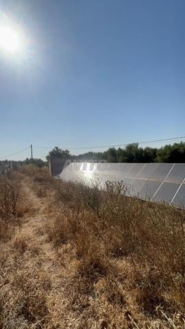 Ferme agricole titrée de 15 hectares à vendre – Ben Ahmed - 2