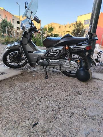 الدشيرة الجهادية - 2