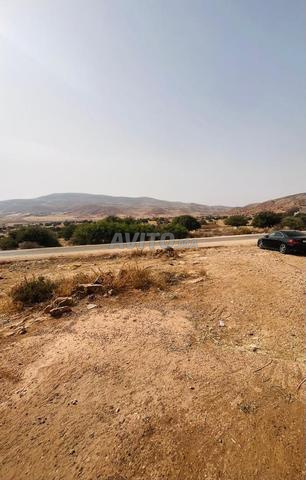 أرض فلاحية محفظة للبيع في نواحي الصويرة