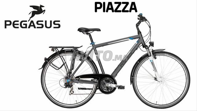 Vélo Pégasus piazza 7005 - 2