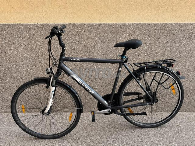 Vélo Pégasus piazza 7005