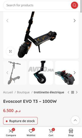 Evo Scott TC