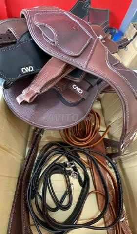 Matériels d'équitation CWD - 2