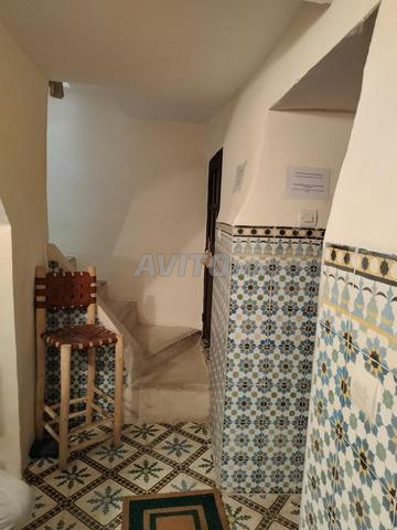 رياض جميل بجوار ساحة جامع الفنا - 2