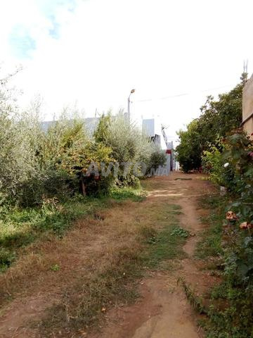 Terrain agricole 1 hectare à vendre 180 millions - 2