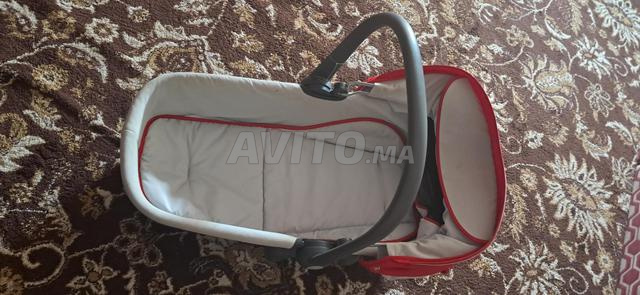 قطة نظيفة