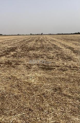À Vendre Terrain titré de 15 hec B3S À Deroua