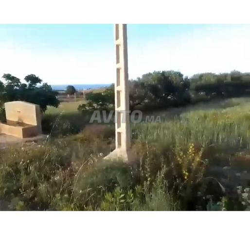 قرية الناظور
