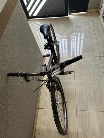 Vélo pur et à excellent prix - 2