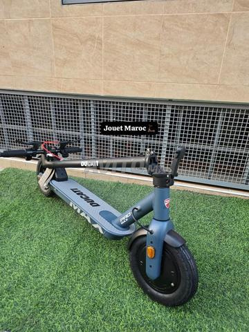 Vélos électriques pour toutes les catégories