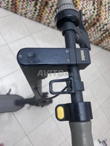 سكوترات - 2