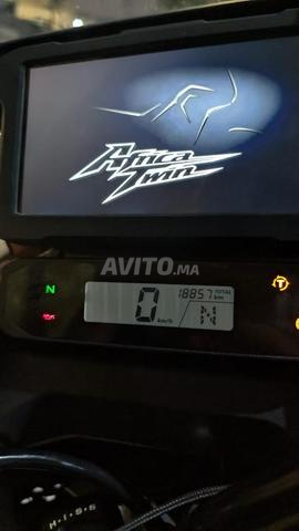 هوندا أفريكا توين CRF 1100 - 2