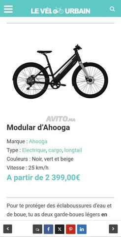 دراجة كهربائية Ahooga Cargo - 2