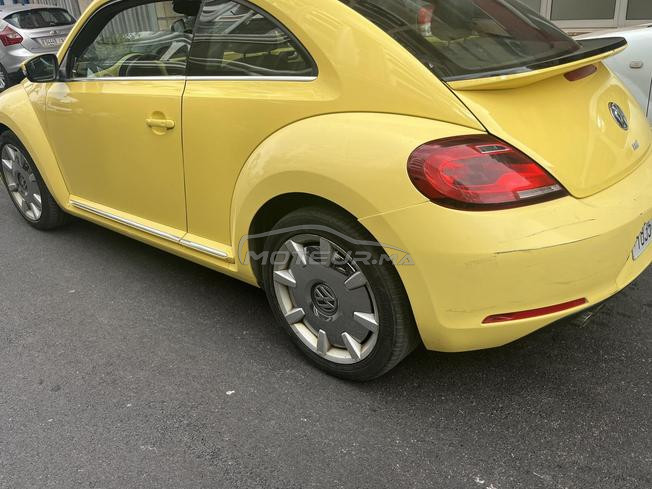 coccinelle 