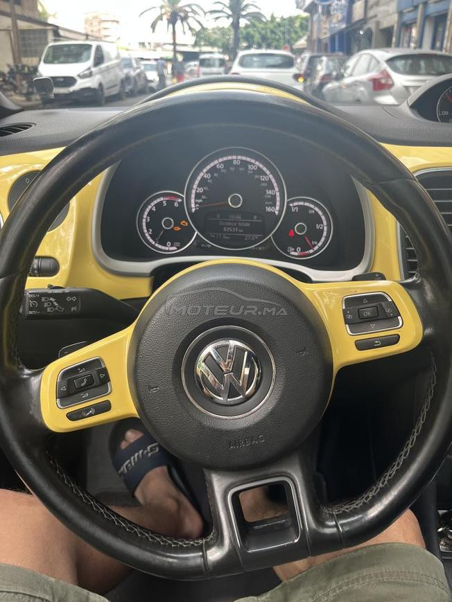 coccinelle 
