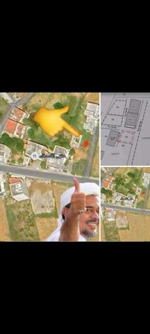 العليين نواحي الفنيدق