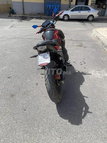 Bekan rvx 2025 - 2