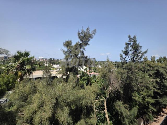 شقة الأورانجري السويسي