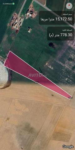 Terrain agricole, superficie deux hectares, titre en copropriété - 2