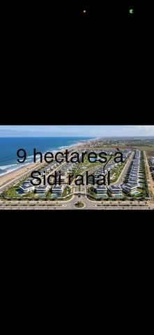 Terrain de 9 hectares en zone villa