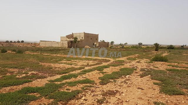 ضيعة فلاحية للبيع في سيدي عبو - ماسة - 2