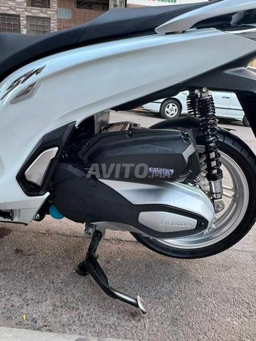 SH 350 رقم سابق موديل 2023 ديوان 2025 - 2