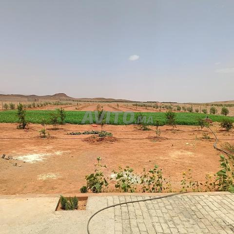 ضيعة فلاحية - 2