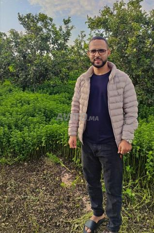 أرغب في وظيفة سائق صنف B