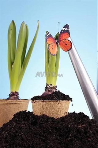 Services de Jardinage et entretien d'espaces verts - 2