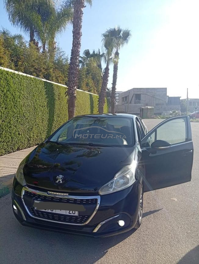 208 mazot l3amra 