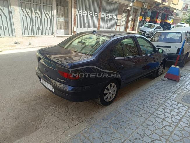 طنجة  مغوغة 