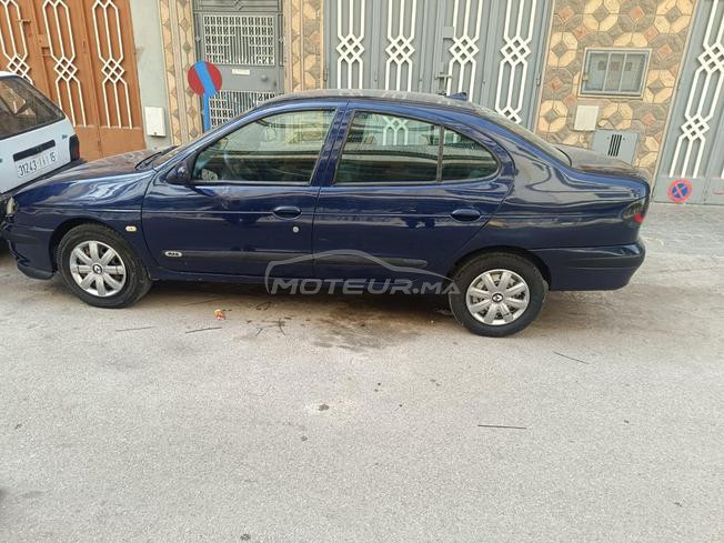 طنجة  مغوغة 