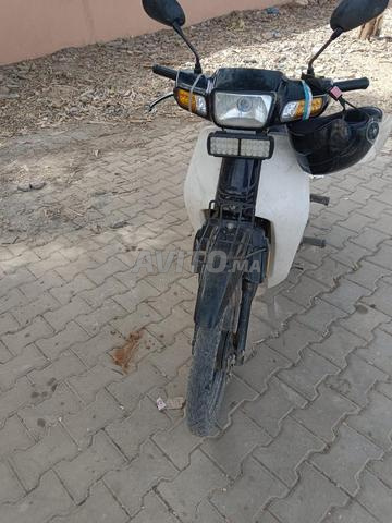 Chichaoua - Majat - 2