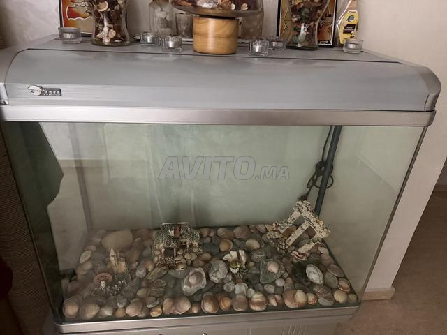 حوض سمك 350 لتر - 2