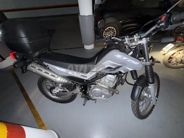 دراجة نارية XT 250 جديدة