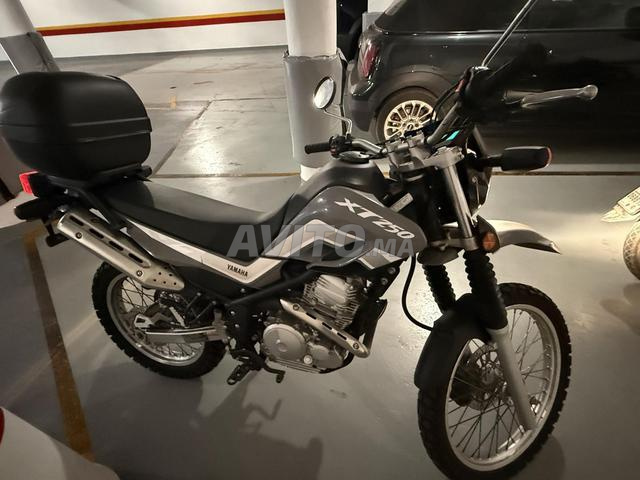 دراجة نارية XT 250 جديدة
