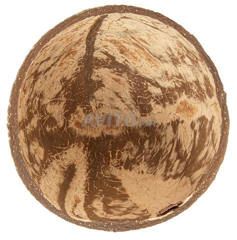 Bol noix de coco - 2