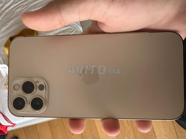 iPhone 12 Pro Max blanc 3000dhs - 2