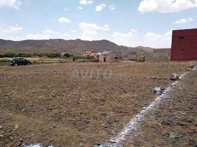Terrain malkiya 500m - 2