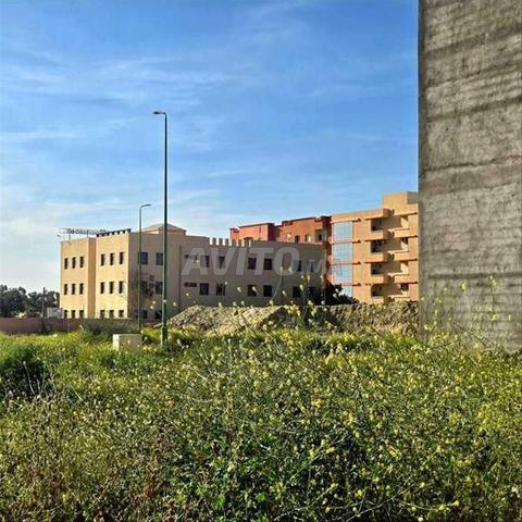 183064-Vente Terrain à Ben Guerir Ville Mohamed Vi - 2